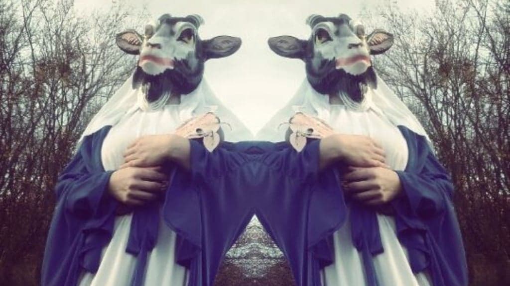 THE DEVIL & THE UNIVERSE
