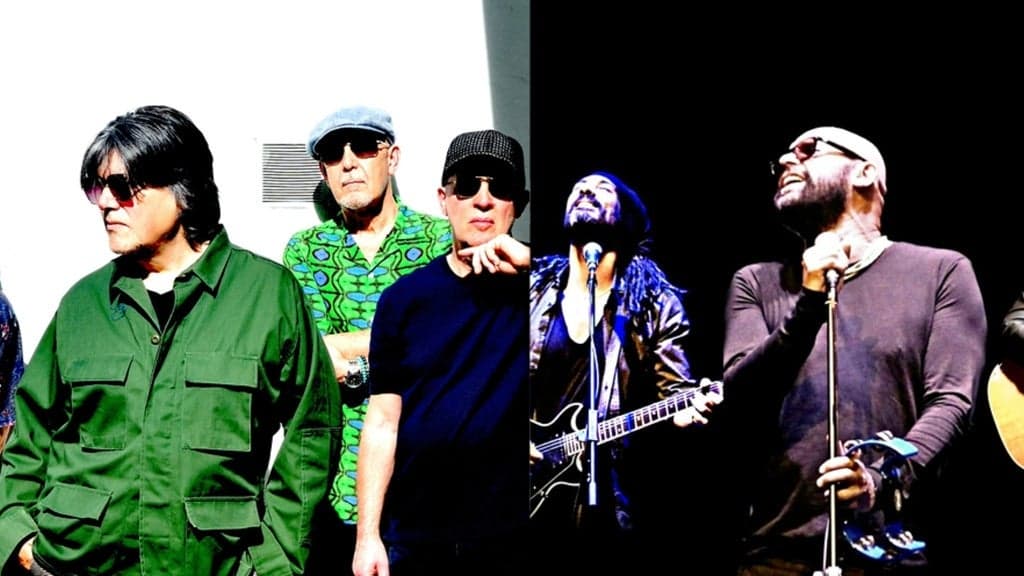 The Blow Monkeys