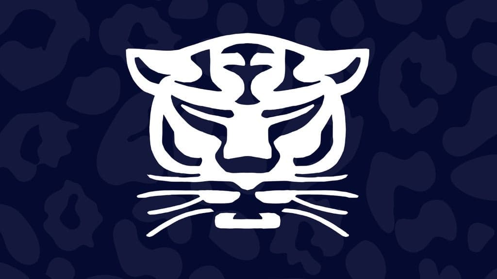 Birmingham Panthers VS Leeds Rhinos