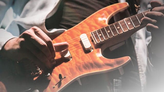 bROTHERS iN bAND the dIRE sTRAITS Tribute Show